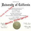 Fake UC Diploma