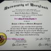College Diplomas - Image 3